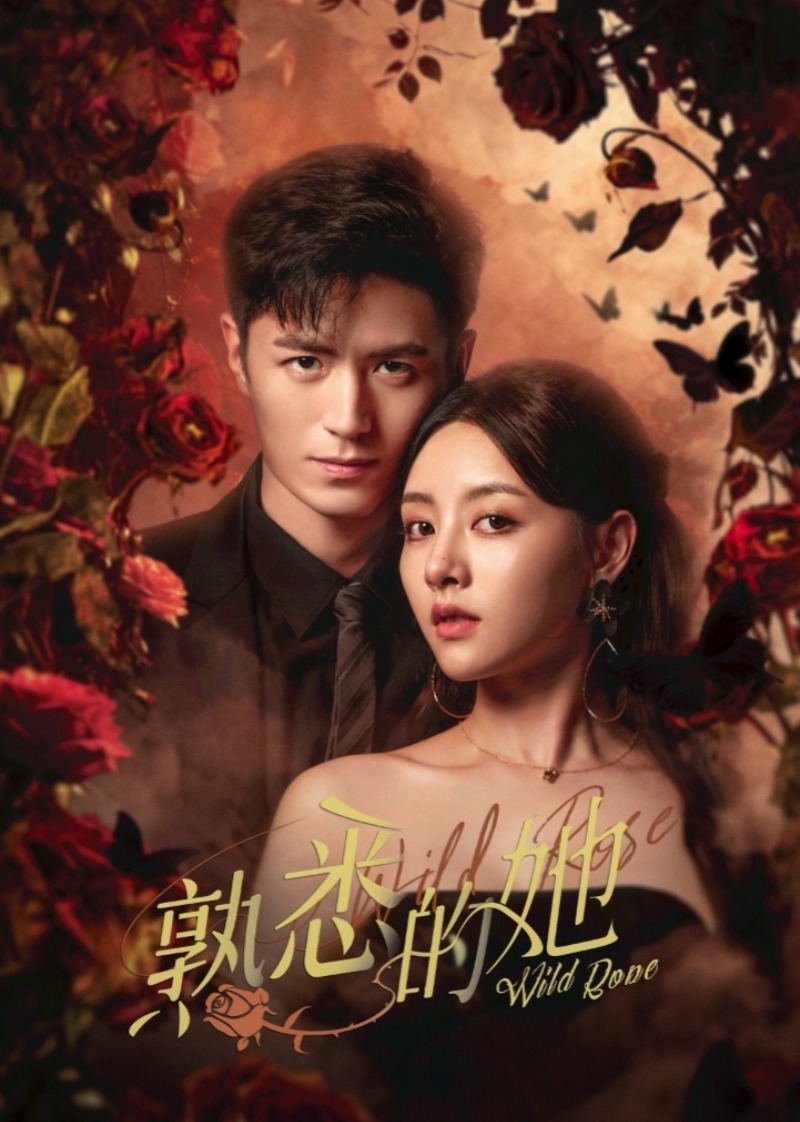 《熟悉的她》：一场关于记忆与救赎的动人爱情故事