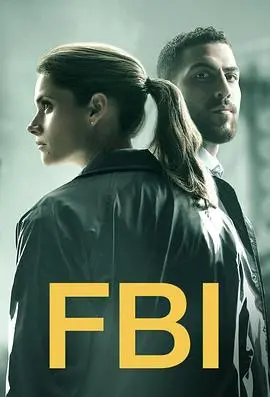 《联邦调查局第二季》：危机四伏的纽约，FBI探员再掀破案狂潮