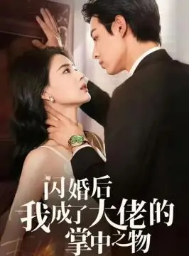 《闪婚后我成了大佬的掌中之物》：甜宠升级，霸总的温柔陷阱你招架得住吗？