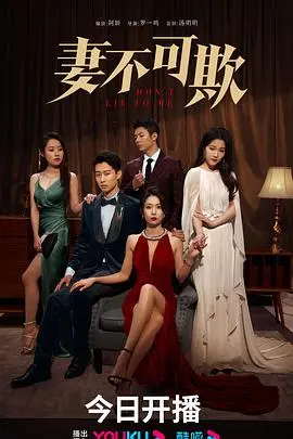 《妻不可欺》：婚姻迷局中的自我救赎，一场关于身份认同与情感博弈的深刻探讨