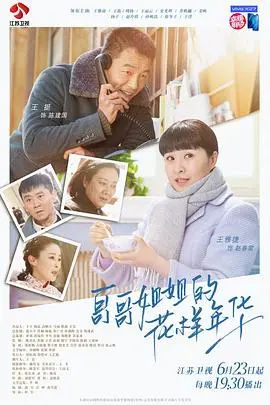 哥哥姐姐的花样年华 海报